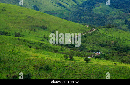 Vista delle verdeggianti colline - - sul modo di Baba Budangiri di Chikmagalur (India) Foto Stock