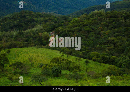 Vista delle verdeggianti colline - - sul modo di Baba Budangiri di Chikmagalur (India) Foto Stock