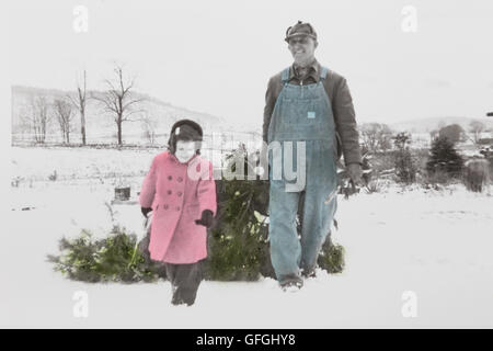 Anni Cinquanta la fotografia Vintage, Hand-Tinted B/W, piccola ragazza aiutando nonno Haul in Fresh cut albero di Natale, STATI UNITI D'AMERICA Foto Stock