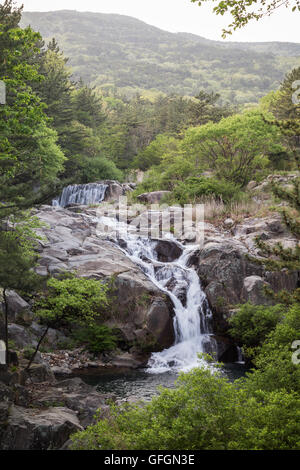 Verdeggianti boschi, Rocky River e piccole cascate al Jangsan Montagna in Busan, Corea del Sud. Foto Stock