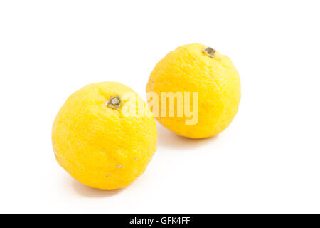 Citron frutto anche noto come Yuzu in giapponese bianco su sfondo isolato Foto Stock