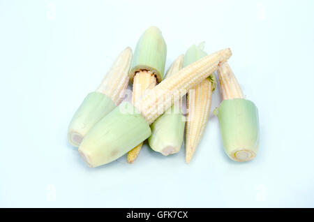 Bambino frutto di mais (noto anche come giovani mais, mini mais, cornlettes, candela mais Zea mays L, Gramineae) isolato su bianco backgrou Foto Stock