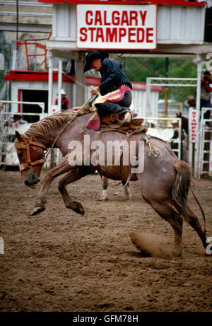 Bronco in sella alla Calgary Stampede. La Calgary Stampede è un annuale rodeo a Calgary, Alberta, Canada. Foto Stock