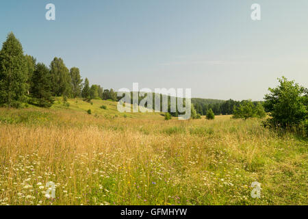 Anno del paesaggio rurale in terreno su sfondo di legno verde e blu cielo Foto Stock