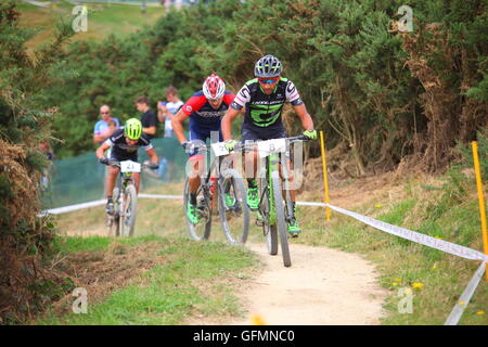 Hadleigh, Inghilterra, Regno Unito 31 luglio 2016 Hadleigh Park International UCI HC-class mountain bike evento. Per la prima volta dal 2012 Giochi Olimpici di mondi migliori mountain bike racers riuniti ancora una volta in Hadleigh Park, il sito di quattro anni fa dei più emozionanti cross-country gare che il mondo abbia mai visto. Credito: Penelope Barritt/Alamy Live News Foto Stock