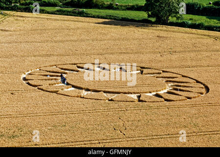 Warminster, Wiltshire, Regno Unito. Il 31 luglio 2016. Un cerchio di raccolto ai piedi della collina di Cley vicino Warminster, Wiltshire, Regno Unito Credito: Andrew Harker/Alamy Live News Foto Stock