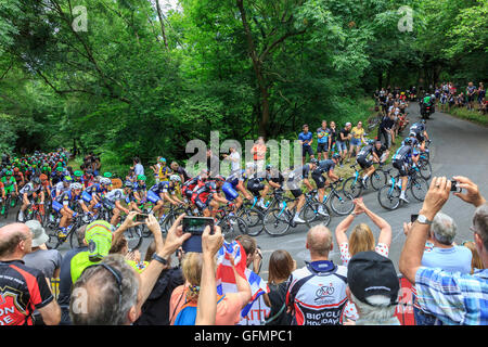 Ranmore comune, Surrey, Regno Unito, 31 luglio 2016. Prudential RideLondon-Surrey Classic 2016. Team Sky, tra cui Chris Froome e Geraint Thomas, piombo il peloton come si negozia il tornante sulla classificati in salita di Ranmore, per il primo dei tre giri nel Surrey colline sopra Dorking. La 202km di viaggioLondon-Surrey Classic è il Regno Unito il premier un giorno di gara e un evento legacy da le Olimpiadi del 2012. Credito: Clive Jones/Alamy Live News Foto Stock