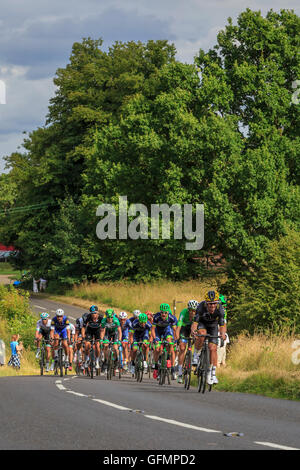 Ranmore comune, Surrey, Regno Unito, 31 luglio 2016. Prudential RideLondon-Surrey Classic 2016. I resti del peloton chase i gruppi leader attraverso il rotolamento terain di Ranmore comune sul secondo dei tre giri nel Surrey colline sopra Dorking. La 202km di viaggioLondon-Surrey Classic è il Regno Unito il premier un giorno di gara e un evento legacy da le Olimpiadi del 2012. Credito: Clive Jones/Alamy Live News Foto Stock