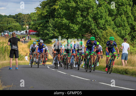 Ranmore comune, Surrey, Regno Unito, 31 luglio 2016. Prudential RideLondon-Surrey Classic 2016. I resti del peloton chase i gruppi leader attraverso il rotolamento terain di Ranmore comune sul secondo dei tre giri nel Surrey colline sopra Dorking. La 202km di viaggioLondon-Surrey Classic è il Regno Unito il premier un giorno di gara e un evento legacy da le Olimpiadi del 2012. Credito: Clive Jones/Alamy Live News Foto Stock