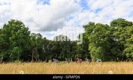 Ranmore comune, Surrey, Regno Unito, 31 luglio 2016. Prudential RideLondon-Surrey Classic 2016. Un gruppo di piloti tra cui Chris Froome (Team Sky) rullo attraverso Ranmore comune sul finale di tre giri in Surrey colline sopra Dorking. La 202km di viaggioLondon-Surrey Classic è il Regno Unito il premier un giorno di gara e un evento legacy da le Olimpiadi del 2012. Credito: Clive Jones/Alamy Live News Foto Stock