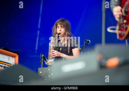 Cumbria, Regno Unito. 31 Luglio, 2016. Kendal Calling Music Festival, Cumbria, 31 luglio 2016, il Lightning Seeds eseguire. Credito: PAOLO WITTERICK/Alamy Live News Foto Stock