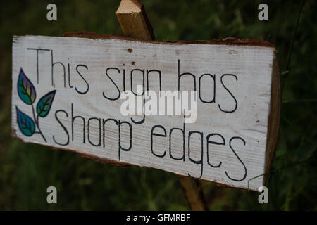 Cumbria, Regno Unito. 31 Luglio, 2016. Kendal Calling Music Festival, Cumbria, 31 luglio 2016, atmosfera. Credito: PAOLO WITTERICK/Alamy Live News Foto Stock