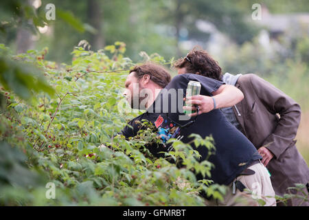 Cumbria, Regno Unito. 31 Luglio, 2016. Kendal Calling Music Festival, Cumbria, 31 luglio 2016, atmosfera. Credito: PAOLO WITTERICK/Alamy Live News Foto Stock