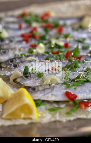 Sarde fresche pronto per la cottura alla griglia Foto Stock