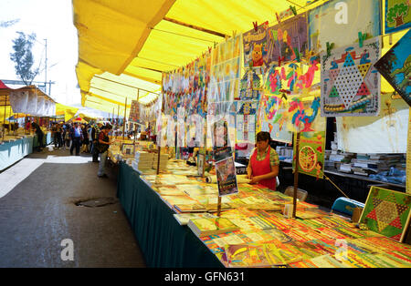 Librai nel mercato Lagunilla in Città del Messico, Messico Foto Stock