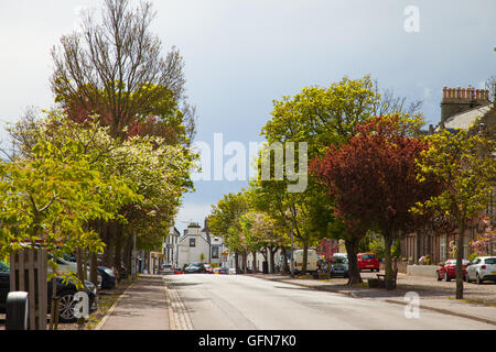 Crail High street Fife, Scozia, Regno Unito Foto Stock