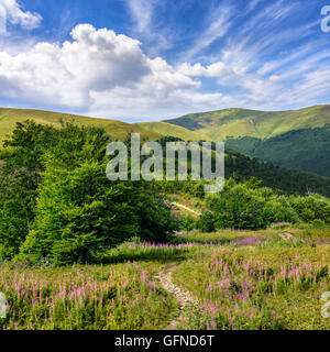Composito paesaggio estivo. Percorso sul prato con erba selvatica e fiori viola porta attraverso il bosco fino alle montagne sotto Foto Stock