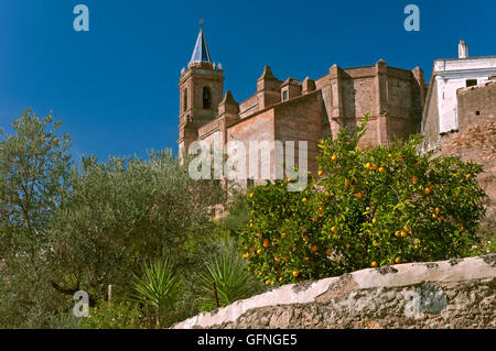 Chiesa di La Purisima Concepcion del XVI secolo, Zufre, provincia di Huelva, regione dell'Andalusia, Spagna, Europa Foto Stock