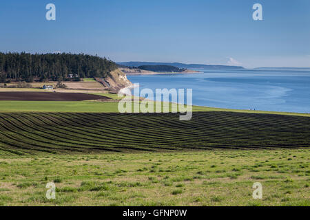 Ebey La Prairie e Puget Sound con il Monte Rainier in background Foto Stock