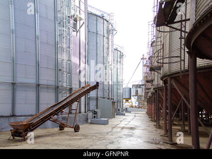 Trasportatore a nastro nel corridoio tra i serbatoi silos Foto Stock