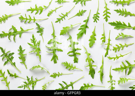 Fresche foglie di rucola su sfondo bianco. Foto Stock