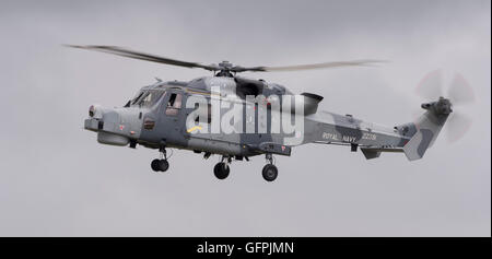 Gatto nero Display in elicottero al team di RNAS Culdrose aria giorno 2016 Foto Stock