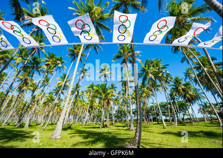 BAHIA, Brasile - MARZO 18, 2015: bandiera olimpica bunting si blocca davanti ad un grande boschetto di palme. Foto Stock