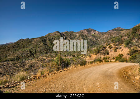 Barfoot Peak e Buena Vista Peak, vista da Piny Canyon Road (FR 42), Chiricahua Mountains, Coronado National Forest, Arizona, Stati Uniti Foto Stock