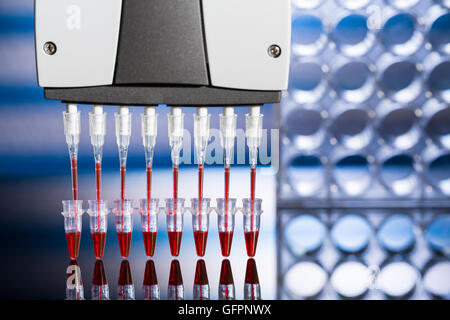 Pipetta multipla nel laboratorio di genetica Foto Stock