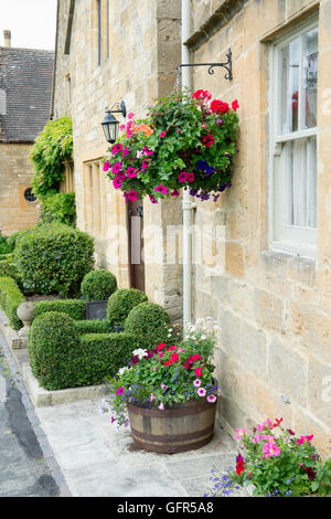 Appendere il cestello e ritagliati siepe di bosso impianti al di fuori di un cottage. Broadway, Cotswolds, Worcestershire, Inghilterra Foto Stock