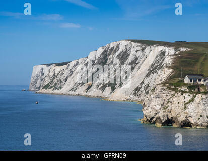 Chalk scogliere di Tennyson giù dalla baia di acqua dolce, Isle of Wight, Inghilterra, Regno Unito. Foto Stock
