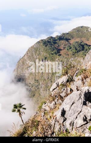 La nebbia e la nube su Doi Luang Chiang Dao Wildlife Sanctuary alte montagne calcaree, 2195 metri sopra il livello del mare.Chiangmai Provin Foto Stock