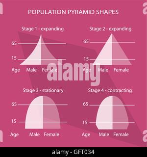 Popolazione e demografia, illustrazione del set di 4 tipi di popolazione piramidi grafico o la struttura di età grafico. Illustrazione Vettoriale