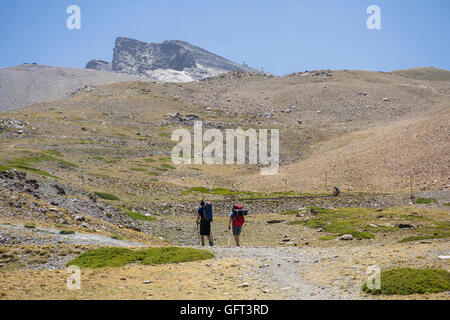 Due escursionisti seguendo il sentiero per Pico del vertice Valeta, Sierra Nevada, nella stagione estiva. Granada, Andalusia, Spagna. Foto Stock