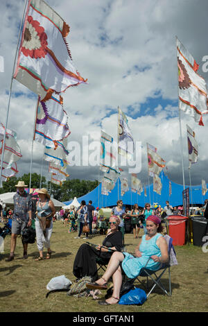 Il WOMAD 2016 mondo della musica e delle arti Dance Festival a Charlton Park. Wiltshire. In Inghilterra. Regno Unito Foto Stock
