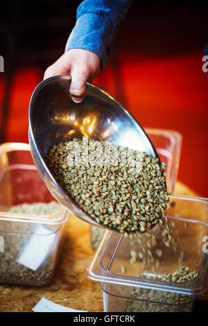 Una persona versando il verde stato naturale dei chicchi di caffè in una vasca Foto Stock