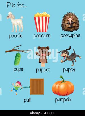 Molte parole iniziano con la lettera P illustrazione Illustrazione Vettoriale
