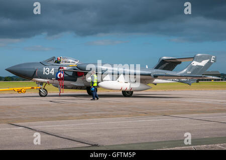 Il de Havilland Sea Vixen FAW2 essendo preparato per il traino di appendino dopo visualizzazione presso gli RNAS Yeovilton aria giorno, nel Regno Unito il 11 luglio 2015. Foto Stock