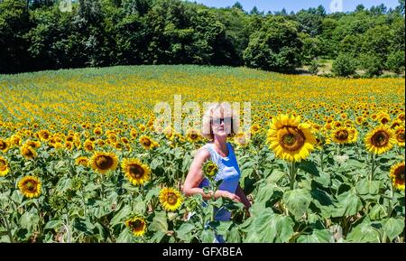 Donna cammina in un campo di girasoli a Frayssinet le-Gelat in Le molte Regione Dipartimento Francia Foto Stock