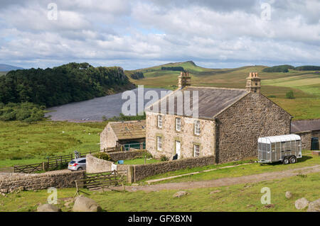 Vista dal vallo di Adriano guardando ad ovest dalla fattoria Hotbank verso la falesia di Lough, Northumberland, England, Regno Unito Foto Stock