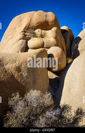 Parco nazionale di Joshua Tree Foto Stock