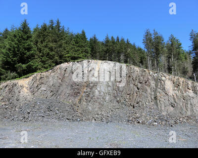 Cava di pietra in un bosco di impostazione, Ettrick Valley, frontiere, Scotland, Regno Unito Foto Stock