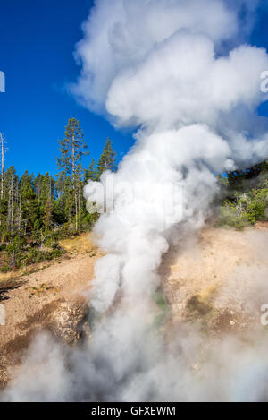 Aumento di vapore dalla bocca di draghi primavera presso il vulcano di fango Area nel Parco Nazionale di Yellowstone Foto Stock