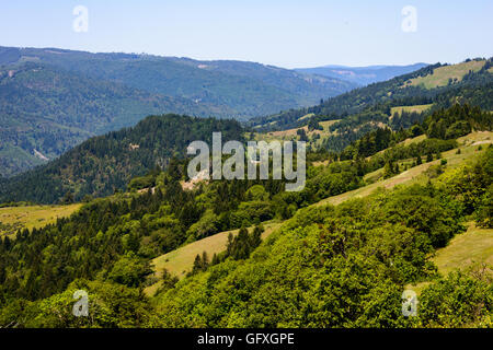 Sei fiumi forestale nazionale (Bigfoot Scenic Byway) Foto Stock