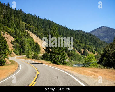 Foresta antica Foto Stock