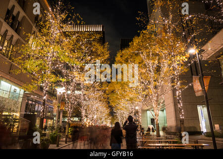 Illuminazione Marunouchi 2015, Tokyo, Giappone Foto Stock