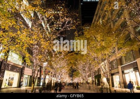 Illuminazione Marunouchi 2015, Tokyo, Giappone Foto Stock