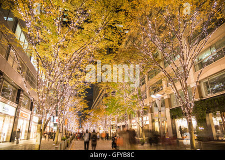 Illuminazione Marunouchi 2015, Tokyo, Giappone Foto Stock