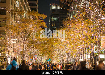 Illuminazione Marunouchi 2015, Tokyo, Giappone Foto Stock
