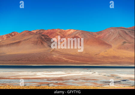 Deserto di Atacama nel Jama passando, confine tra Cile e Argentina all'estremità nord di entrambi i paesi Foto Stock